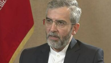 Bagheri: Gazze’deki soykırımı durdurmak insani bir görevdir/suçlunun rızasını beklememeliyiz