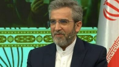 Bagheri’nin Avusturya Başbakanı’nın özel temsilcisiyle görüşmesi