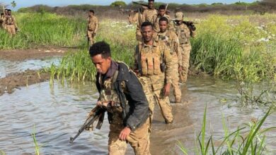 Somali’de 50 Eş-Şebab teröristi öldürüldü