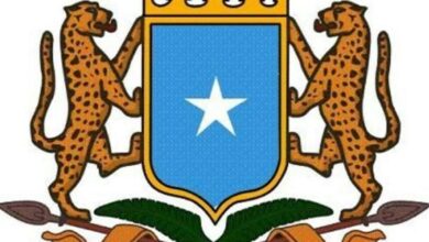 Somali’de 20’den fazla El Şebab teröristi öldürüldü