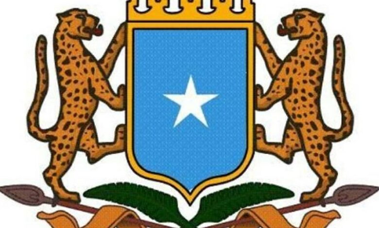 Somali’de 20’den fazla El Şebab teröristi öldürüldü