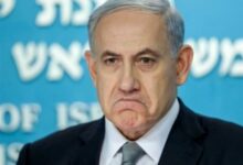 Atvan: Bundan sonra kaçakların ve mültecilerin lideri Netanyahu olacak