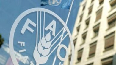 FAO: Afganistan nüfusunun yüzde 75’i tarımla geçiniyor