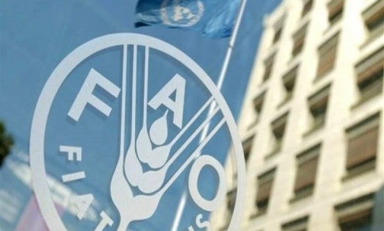 FAO: Afganistan nüfusunun yüzde 75’i tarımla geçiniyor