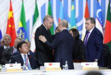 Türk analist: BRICS’e neden kabul edilmedik?